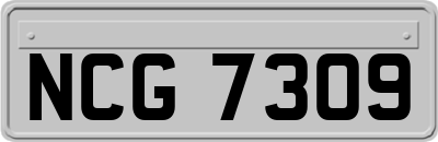 NCG7309