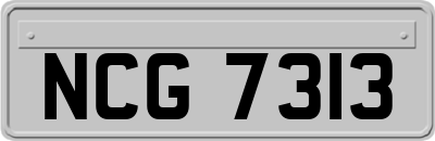 NCG7313