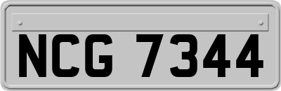 NCG7344