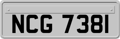 NCG7381