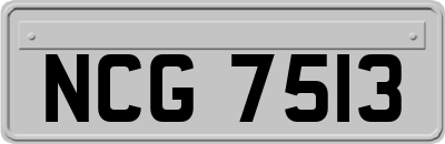 NCG7513