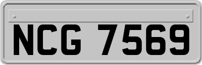 NCG7569