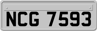 NCG7593