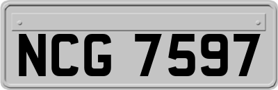NCG7597
