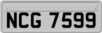NCG7599