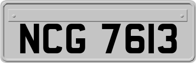 NCG7613