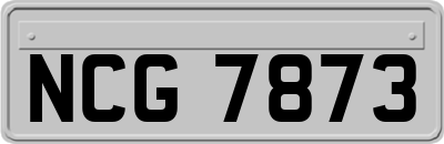 NCG7873