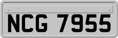 NCG7955