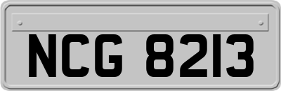 NCG8213