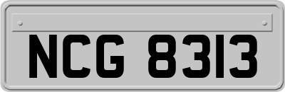 NCG8313