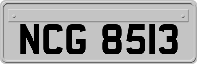 NCG8513