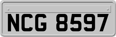 NCG8597