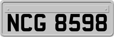 NCG8598