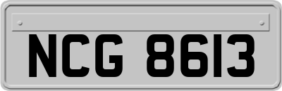 NCG8613