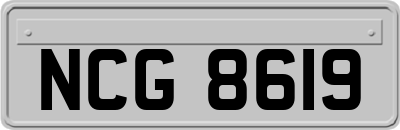 NCG8619