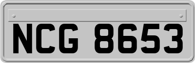 NCG8653