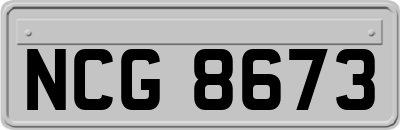 NCG8673