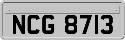 NCG8713