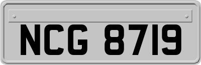 NCG8719