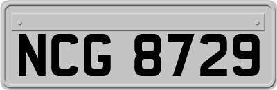 NCG8729