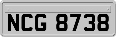 NCG8738