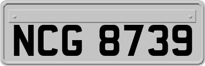 NCG8739
