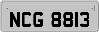 NCG8813