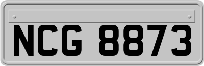 NCG8873