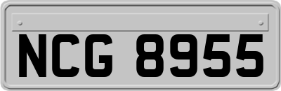 NCG8955