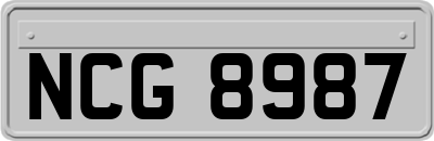 NCG8987
