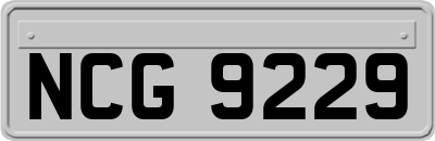 NCG9229