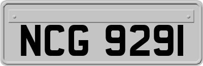 NCG9291