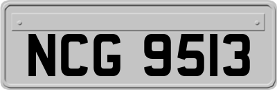 NCG9513
