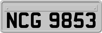 NCG9853