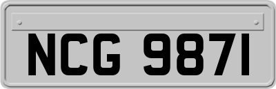 NCG9871