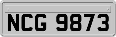 NCG9873