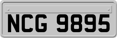 NCG9895
