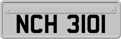 NCH3101