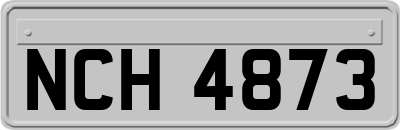 NCH4873