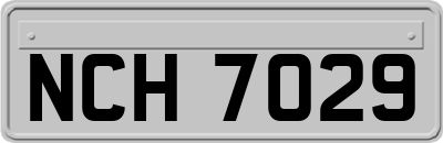 NCH7029