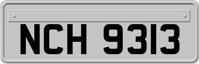 NCH9313
