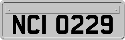 NCI0229