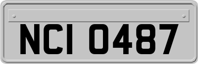 NCI0487