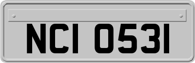 NCI0531