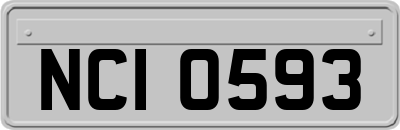 NCI0593