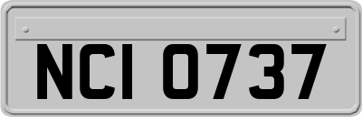 NCI0737