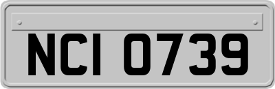 NCI0739
