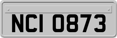 NCI0873