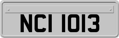 NCI1013