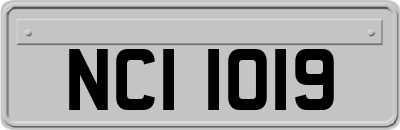 NCI1019